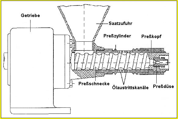 Lochzylinderschneckenpresse