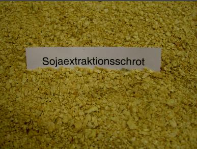Sojaextraktionsschrot
